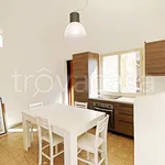 Rent 3 bedroom apartment of 77 m² in Castelvetrano