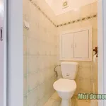 Rent 1 bedroom apartment of 30 m² in Praha