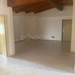 Rent 4 bedroom apartment of 130 m² in Cinisello Balsamo