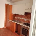 Rent 2 bedroom apartment of 45 m² in Rome