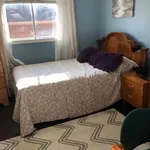 Rent 1 bedroom house of 5 m² in Vaughan (Maple)