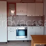 Rent 2 bedroom apartment of 49 m² in Biella