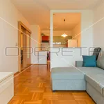 Rent 1 bedroom apartment of 55 m² in City of Zagreb