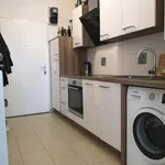 Rent 2 bedroom apartment of 45 m² in Vienna