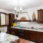 Villa in affitto a Castelnuovo Rangone via Carducci , 3, giardino privato, caminetto, cucina abitabile - TrovaCasa