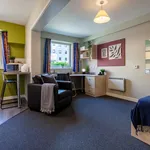 Rent 1 bedroom flat in Sheffield