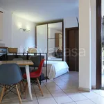 Rent 1 bedroom apartment of 35 m² in Monza