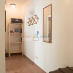 Rent 4 bedroom apartment of 85 m² in Massa