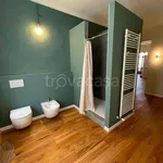 Rent 2 bedroom apartment of 86 m² in Torino