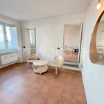 Rent 3 bedroom apartment of 80 m² in Firenze