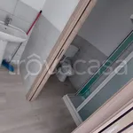 Rent 2 bedroom house of 70 m² in Torino