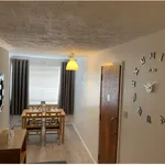 Rent 4 bedroom house in Worcester