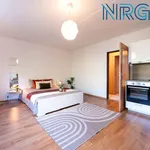 Rent 1 bedroom apartment in Capital City of Prague