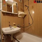 Rent 1 bedroom apartment in Brno