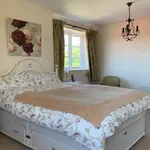 Rent 1 bedroom house in North East England