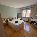 Rent 3 bedroom apartment of 8 m² in Girona