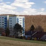 Rent 3 bedroom apartment of 74 m² in Neunkirchen