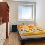 Rent 3 bedroom apartment of 80 m² in Capital City of Prague