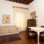 Rent 1 bedroom apartment of 50 m² in florence