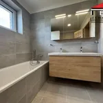 Rent 1 bedroom house of 122 m² in Frýdek-Místek