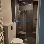 Rent 3 bedroom apartment of 60 m² in SZCZECIN