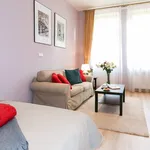 Rent 1 bedroom apartment in Praha 2