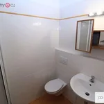 Pronajměte si 1 ložnic/e byt o rozloze 33 m² v Praha