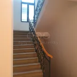 Rent 2 bedroom apartment of 47 m² in Ostrava