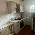 Rent 1 bedroom apartment of 35 m² in Ariccia