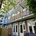 Rent 1 bedroom apartment in amsterdam