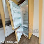 Rent 2 bedroom apartment of 50 m² in České Budějovice