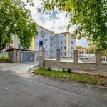 Rent 2 bedroom apartment of 50 m² in Milovice