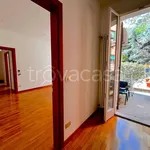 Rent 4 bedroom apartment of 100 m² in Bologna