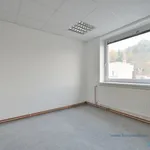 Rent 1 bedroom apartment in Jičín