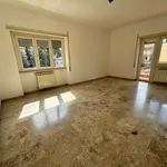 Rent 3 bedroom apartment of 100 m² in Morlupo