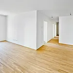 Rent 3 bedroom apartment of 65 m² in Vienna