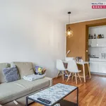 Rent 2 bedroom apartment of 45 m² in Brno