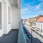 Rent 3 bedroom apartment of 110 m² in Capital City of Prague