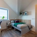 Rent 1 bedroom flat in Exeter