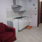 Rent 1 bedroom apartment of 35 m² in Omegna