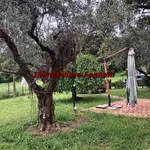 Rent 4 bedroom house of 90 m² in Velletri