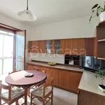 Rent 2 bedroom apartment of 58 m² in Turin