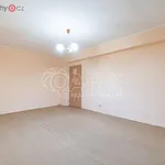 Rent 2 bedroom apartment of 42 m² in Mělník