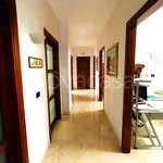 Rent 3 bedroom apartment of 130 m² in Acerra