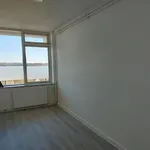 Rent 4 bedroom apartment in Vrieheidepark