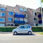 Rent 1 bedroom apartment of 30 m² in Breda