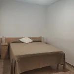 Alquilo 3 dormitorio apartamento de 75 m² en Elx / Elche