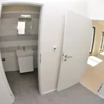 Rent 1 bedroom apartment in Brno