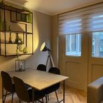 Rent 1 bedroom apartment of 50 m² in Den Haag