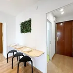 Rent 5 bedroom apartment in Madrid